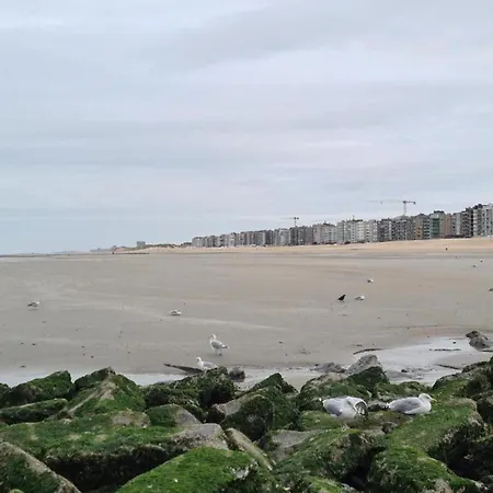 Near Koksijde By The Sea