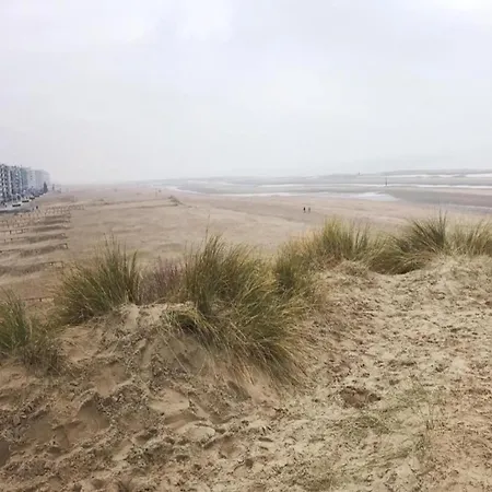 Near Koksijde By The Sea Apartamento Sint-Idesbald